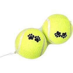 Kit 2 Brinquedo Bola Tênis Grande para Cães Chalesco